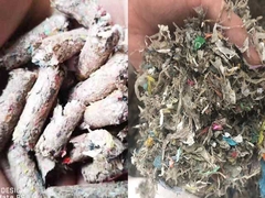 2000 ore discarica MSW RDF WASTE Macchina per la produzione di pellet 7.5kw