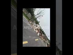 Linea di produzione di pellet di legno da biomassa di tipo 20T/H CPM a basso consumo energetico